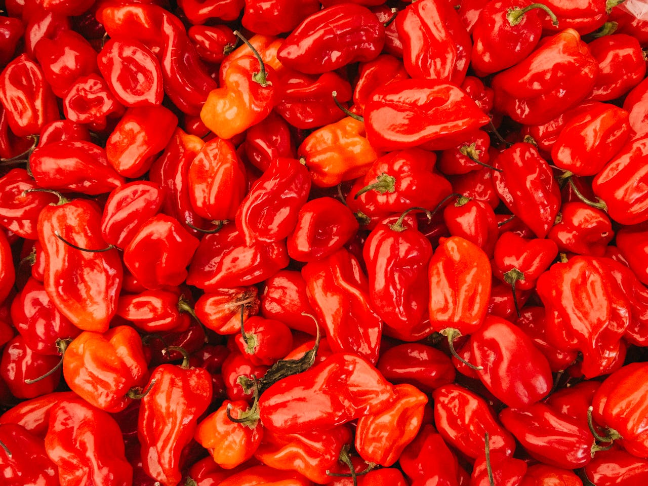 A close up of red peppers